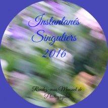 Les Instantanés Singuliers 2016